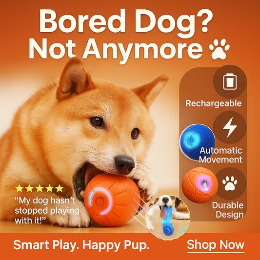 Magic Motion Dog Ball